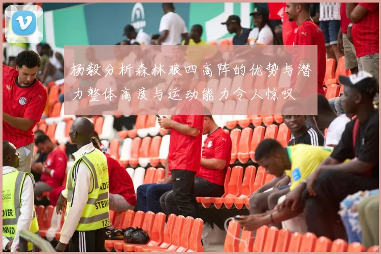 杨毅分析森林狼四高阵的优势与潜力整体高度与运动能力令人惊叹